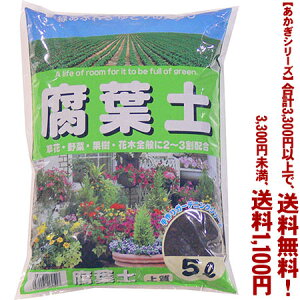 ytIzyV[Yzty 5LǂIŁA3,300~ȏ㑗I