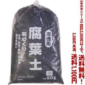 ytIzyV[Yzty 50LǂIŁA3,300~ȏ㑗I