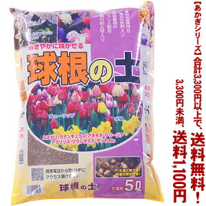 ytIzyV[Yz̓y 5LǂIŁA3,300~ȏ㑗I