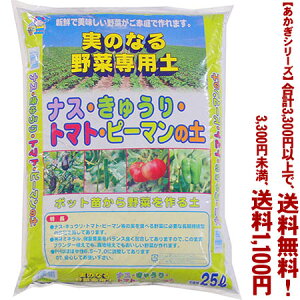 ytIzyV[YẑȂؐpy 25LǂIŁA3,300~ȏ㑗I