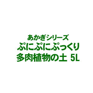 ytIzyV[Yz ՂɂՂɁIՂIA̓y 5LǂIŁA3,300~ȏ㑗I