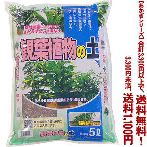 ytIzyV[YzϗtA̓y 5LǂIŁA3,300~ȏ㑗I