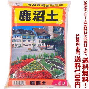 ytIzyV[Yzy 4LǂIŁA3,300~ȏ㑗I