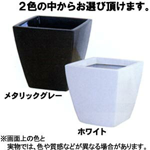 yIzav A[o|bgAS-35kX^C̃_rOɗnރVvfUCI