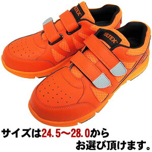 yIz~^j Z8532004^ebNXSP(IW) SC TCYF24.5`27.0 yʎcŌySnƃbVfނŒʋCQ