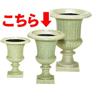 yIzavX`bN eAJbv 48^@~JQe΂̎Čdt[Jbv