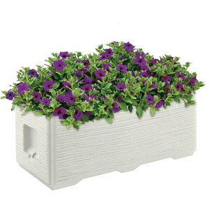 yIzb`F ^Ev^[WS 100^тʋ@\t^v^[ŐǗNNB