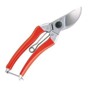 yIzAX @S^@8C` 120S-8Ƃ̃j[YɑbEvdl̍łB