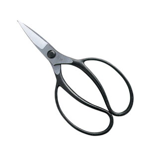 yIzP A NO.221vF߂iłB