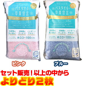 yIzڂ^I oX^IƐ錾 33×100cm ǂ2oX^ȊɂȂ^Ił