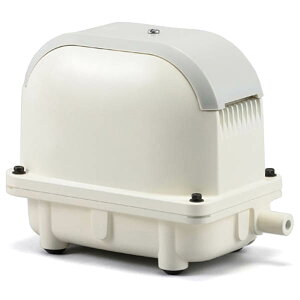 yIzHi uA|vC80L/ AK-80D̃u|v!