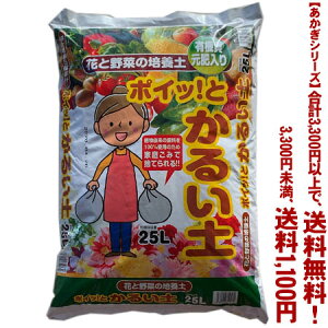 ytIzyV[Yz |CbIƁ@邢y 25LǂIŁA3,300~ȏ㑗I