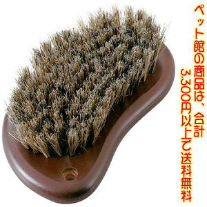 yybgفzhM[}nV Lp NSC@ؐcouV ɃtBbgbт̉uVB