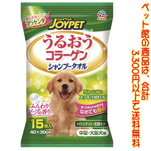 ���i�摜