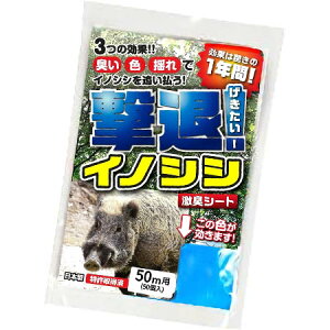 yIzvXu ރCmVVp@50mpi50jjICAFAhŌށI