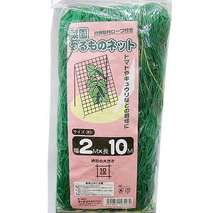 yIzR[i ؉̃lbg2×10mg}gLE͔̍|!