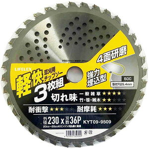 yIzLIFELEX py`bv\[230mm×36P@3g KYT09-95093g!