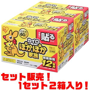 yIzACX ۂۂƑ\郌M[@60 PKN-60R ×2ʋΒʊwEOƁEЊQ̔Ȃǂ