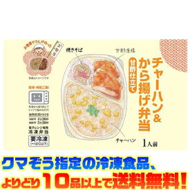 【冷凍食品　よりどり10品以上で送料無料】シノブフーズ チャーハン＆から揚げ弁当 273g電子レンジで簡単調理！