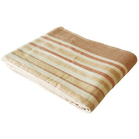【送料無料！】テクノス 洗える掛敷毛布大判セミダブルサイズ EM-8015冷え性の方に。電気のぽかぽか掛敷毛布