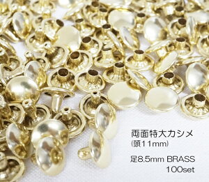 ���ʓ���J�V��(��11mm) ��8.5mm �u���X �^�J���n 100����