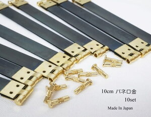 I 100mm(10cm) ol ׃^Cv { 10Zbg