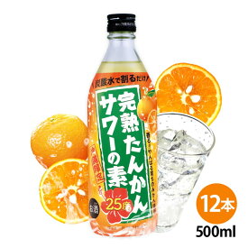 完熟たんかんサワーの素 500ml 25度 12本