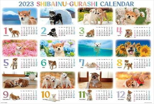 1000s[XWO\[pY Č炵J_[2023 ro[ 31-542 (49×72cm)