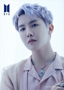 108�s�[�X�W�O�\�[�p�Y�� BTS Proof j-hope �G�|�b�N�� 41-311 (18.2×25.7cm)