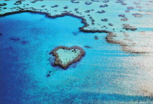 450{70X[s[XWO\[pY O[gEoAE[t[I[XgA]/2in1pY spԏit A| 44-707 (26×38cm & 10×14.7cm)