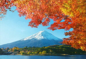 300s[XWO\[pY xmHi-R spԏit A| 48-630 (26×38cm)