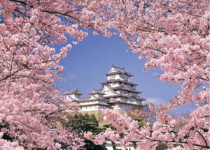 yiz2000s[XWO\[pY ̕PH spԏit ro[ 72-039 (73×102cm) ykCE zsz