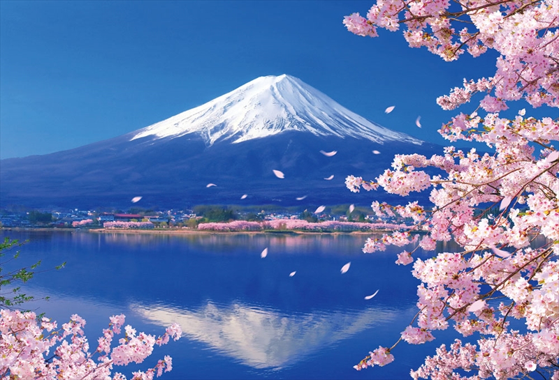 1000ピースジグソーパズル 富士と桜咲く湖畔 ビバリー 全国組立設置無料 販売期間 限定のお得なタイムセール 51-235 49×72cm