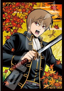 A[gNX^208X[s[XWO\[pY ⍰ c spԏit GXJC 208-AC49 (18.2×25.7cm)