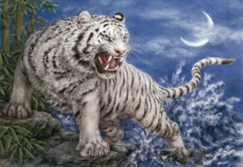 かっこいい 白い 虎 イラスト 最高の画像壁紙日本aad