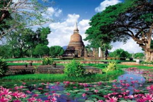 1000s[XWO\[pY K̓s-^C spԏit G|bN 10-625 (50×75cm)