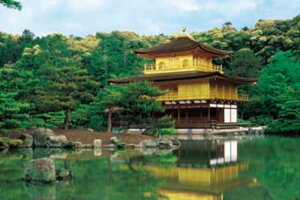 1000s[XWO\[pY t-s spԏit G|bN 10-645S (50×75cm)