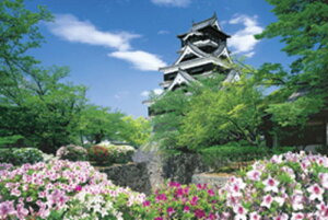 1000s[XWO\[pY F{-F{ spԏit G|bN 10-662 (50×75cm)