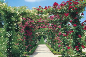 1500X[s[XWO\[pY XEB[g[Y A[` spԏit G|bN 15-536 (50×75cm)