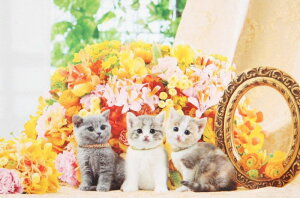 1000s[XWO\[pY t[ɂ spԏit G|bN 10-747 (50×75cm)