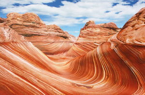 1000s[XWO\[pY UEEF[u-AJ spԏit G|bN 10-765 (50×75cm)