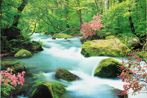 1000s[XWO\[pY k-X G|bN 10-777 (50×75cm)