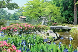 1000s[XWO\[pY ʂ̋G Z-ΐ spԏit G|bN 10-779 (50×75cm)