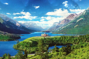 1000s[XWO\[pY EH[^[gEO[V[ەaR[AJ/Ji_] spԏit G|bN 11-409 (50×75cm)