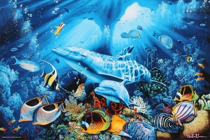 楽天市場 16ベリースモールピースジグソーパズル ミラクルオブライフiii Crラッセン 廃番商品 エポック社 23 3 50 75cm 組絵門 くみえもん