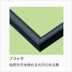 �W�O�\�[�p�Y���p�A���~���t���[�� �p�l���}�b�N�X No.5�i35×49cm/5-T�A�j �u���b�N �G�|�b�N�� 66-305 �y�k�C���E���� �z���s�z