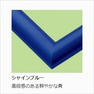 WO\[pYpؐt[ EbfB[plGNZg No.16i51×73.5cm/10-Tj VCu[ G|bN 65-616 ykCE zsz