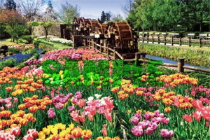 1000s[XWO\[pY VvX^C `[bvƌܘA spԏit ̂܂ 10-1249 (50×75cm)