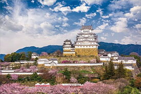 1000ピースジグソーパズル 桜咲く姫路城（兵庫） やのまん 10-1313 (50×75cm)