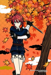 vYA[g70s[XWO\[pY -ONLINE- MZlYigtj ̂܂ 97-201 (10×14.7cm)